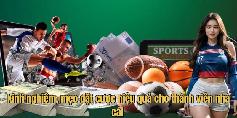 Kinh nghiệm, mẹo đặt cược hiệu quả cho thành viên nhà cái 